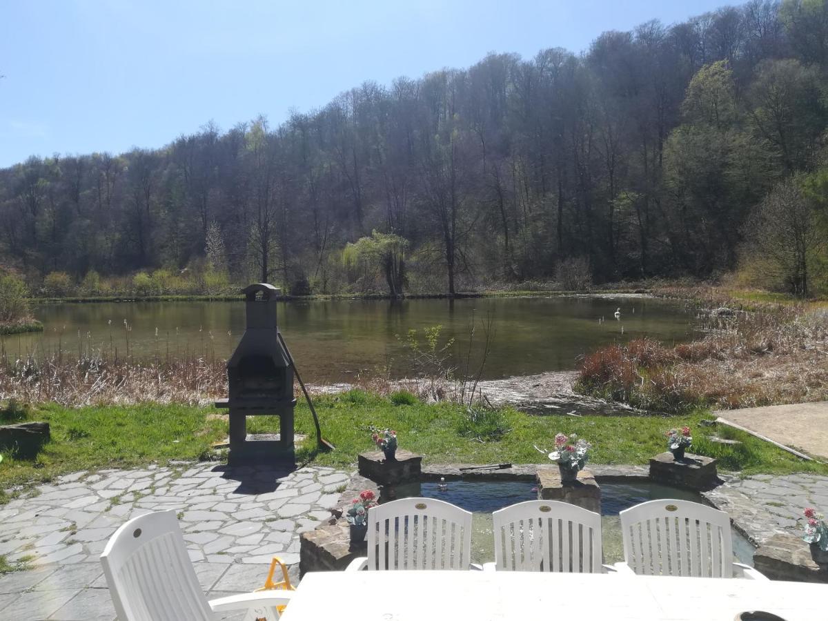 Propriete Bordee D'Etangs, Propice A La Detente Florenville Exterior photo